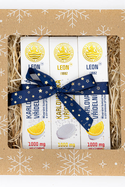 ECO Christmas Gift Set – Karlovy Vary Geyser Salt Tablets