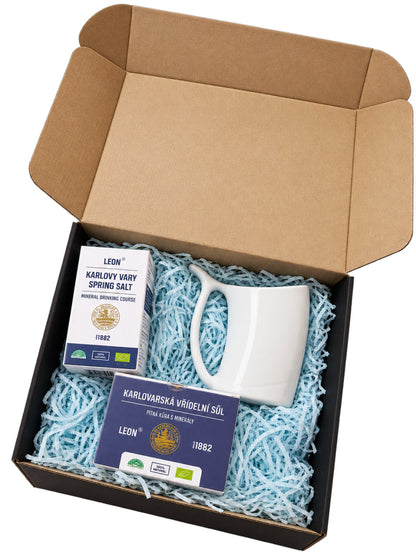 Karlovy Vary Gift Set – Drinking Salt & Porcelain Spa Cup (3 in 1)
