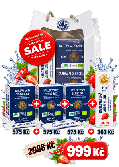 Karlovarská vřídelní sůl – sada 4 balení | Sleva 52 %